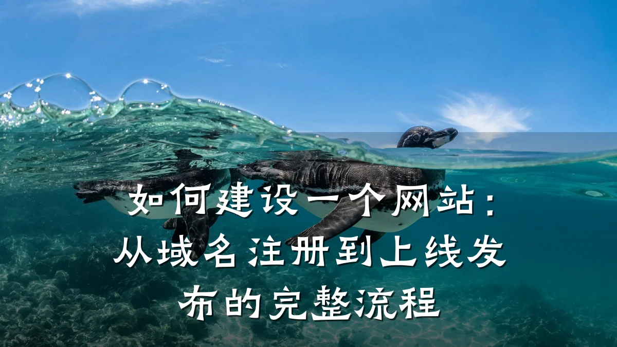如何建设一个网站:从域名注册到上线发布的完整流程