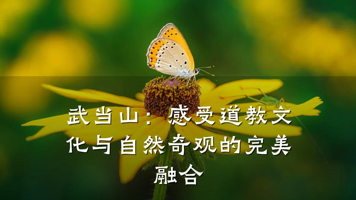 武当山:感受道教文化与自然奇观的完美融合