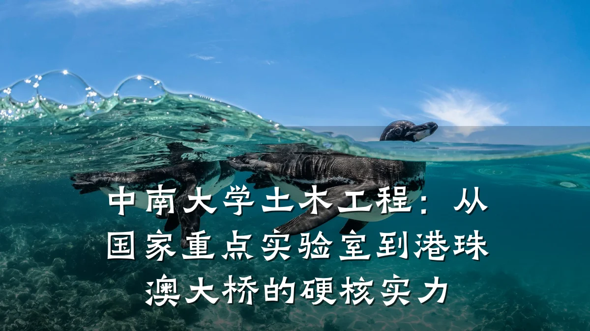 中南大学土木工程：从国家重点实验室到港珠澳大桥的硬核实力