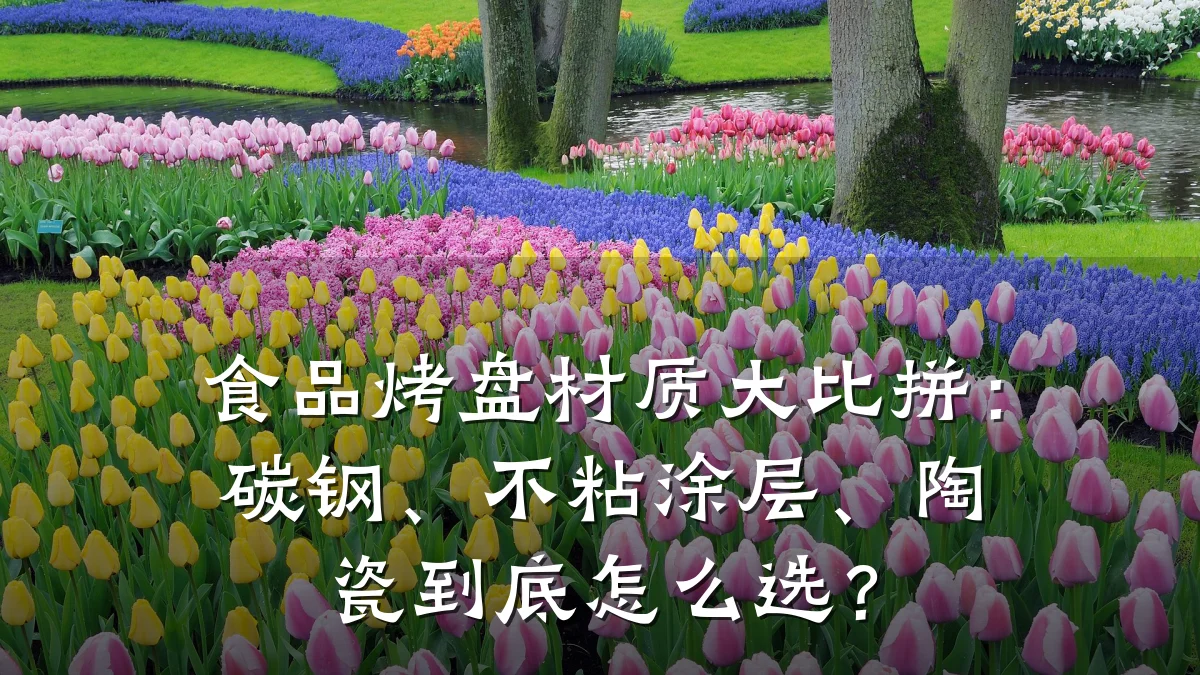 食品烤盘材质大比拼:碳钢、不粘涂层、陶瓷到底怎么选?