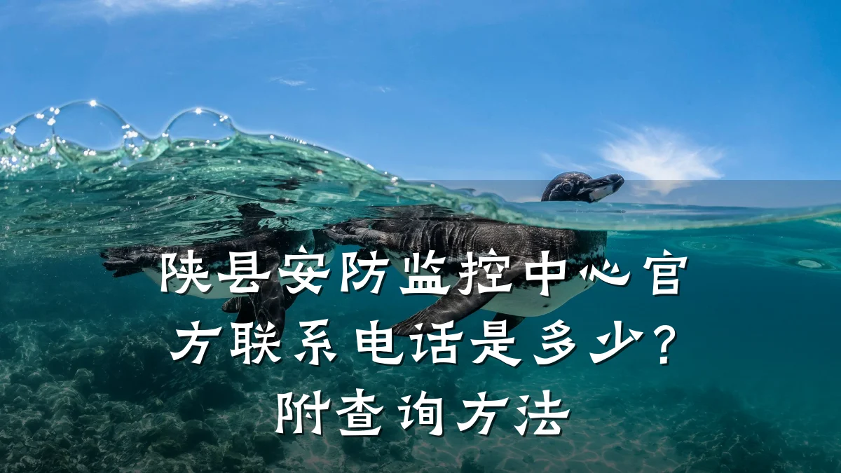 陕县安防监控中心官方联系电话是多少？附查询方法