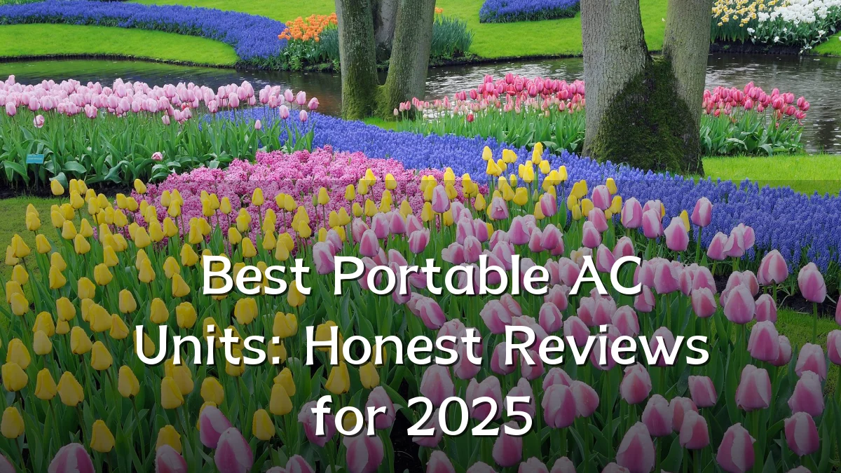 Best Portable AC Units: Honest Reviews for 2025