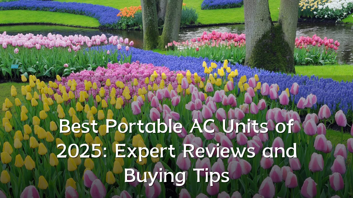 Best Portable AC Units of 2025: Expert Reviews and Buying Tips