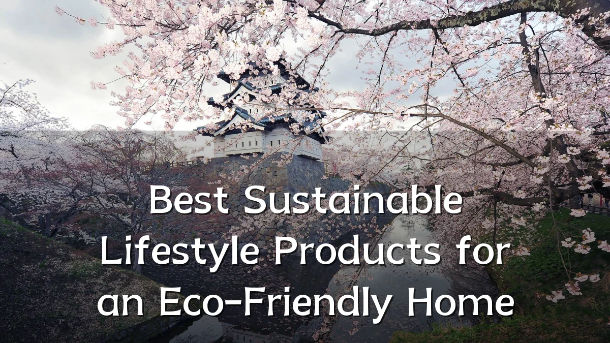 Best Sustainable Lifestyle Products for an Eco-Friendly Home
