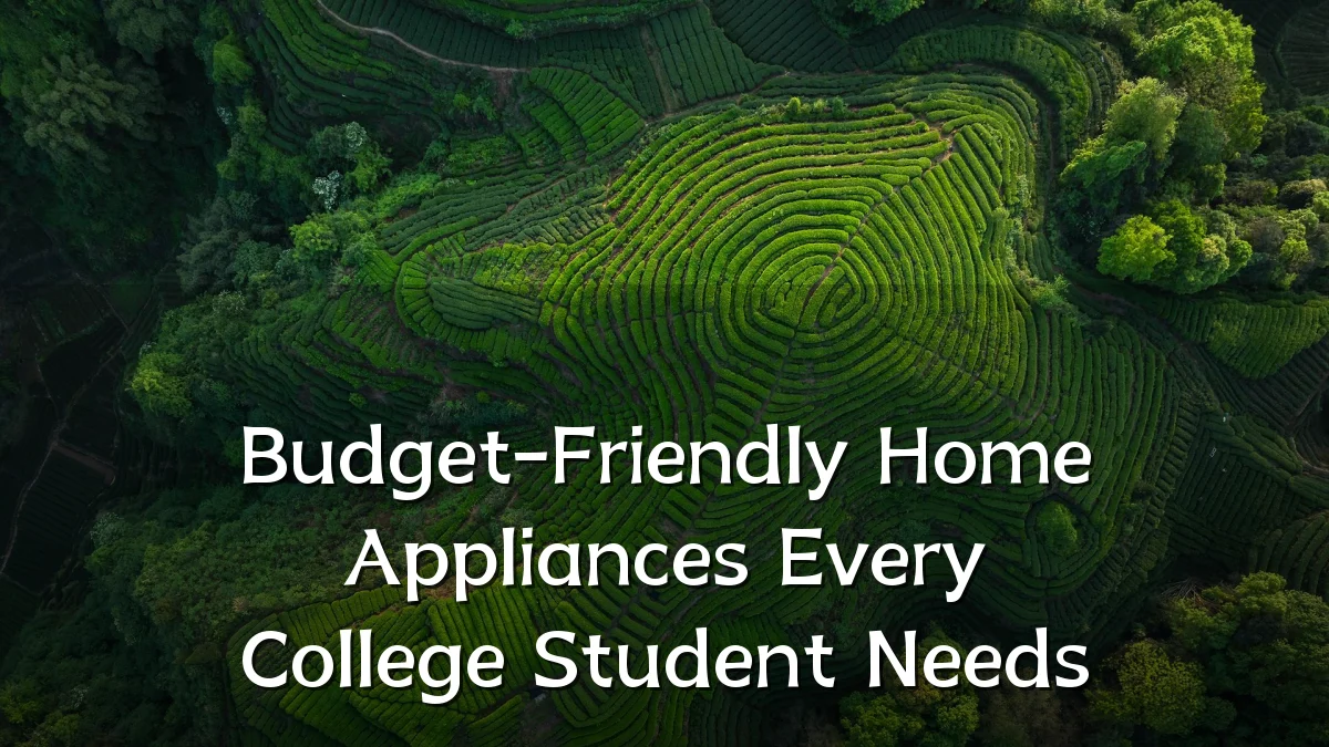 Budget-Friendly Home Appliances Every College Student Needs