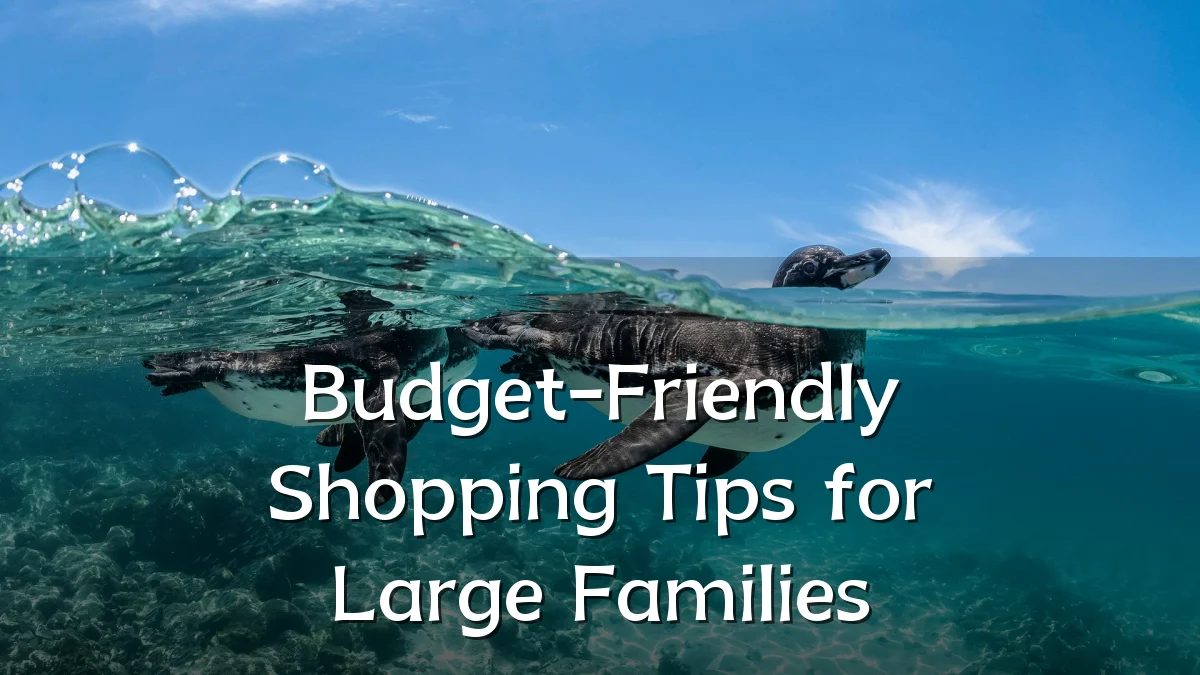 Budget-Friendly Shopping Tips for Large Families