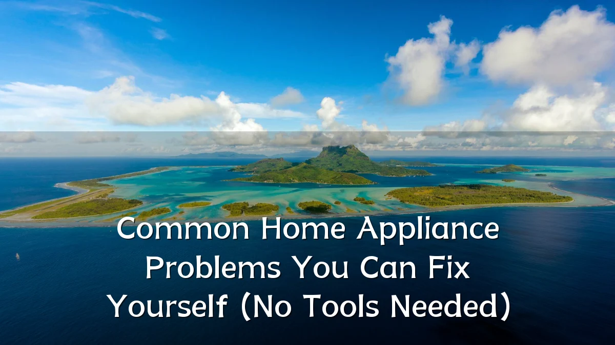 Common Home Appliance Problems You Can Fix Yourself (No Tools Needed)