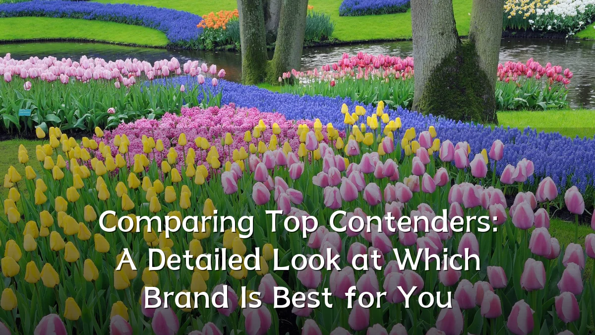 Comparing Top Contenders: A Detailed Look at Which Brand Is Best for You