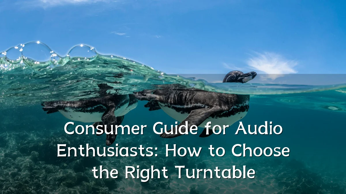 Consumer Guide for Audio Enthusiasts: How to Choose the Right Turntable