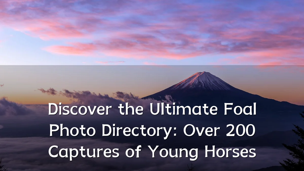 Discover the Ultimate Foal Photo Directory: Over 200 Captures of Young Horses