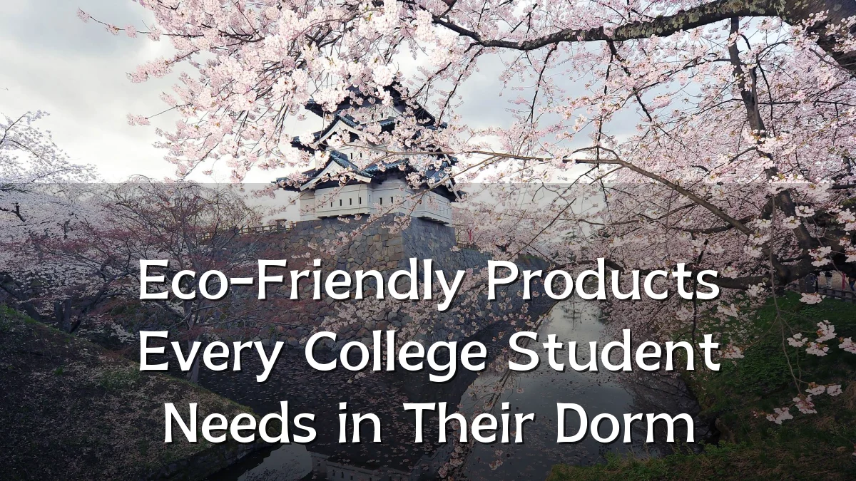 Eco-Friendly Products Every College Student Needs in Their Dorm