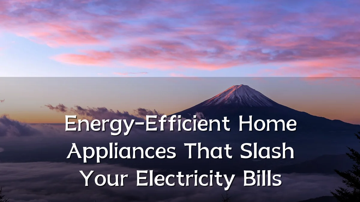Energy-Efficient Home Appliances That Slash Your Electricity Bills
