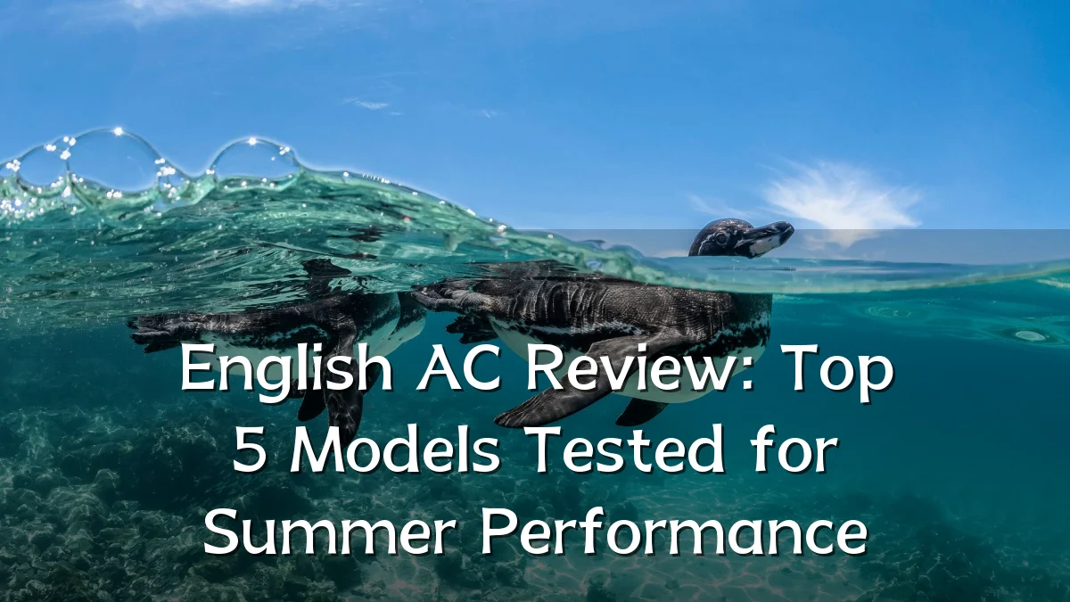 English AC Review: Top 5 Models Tested for Summer Performance