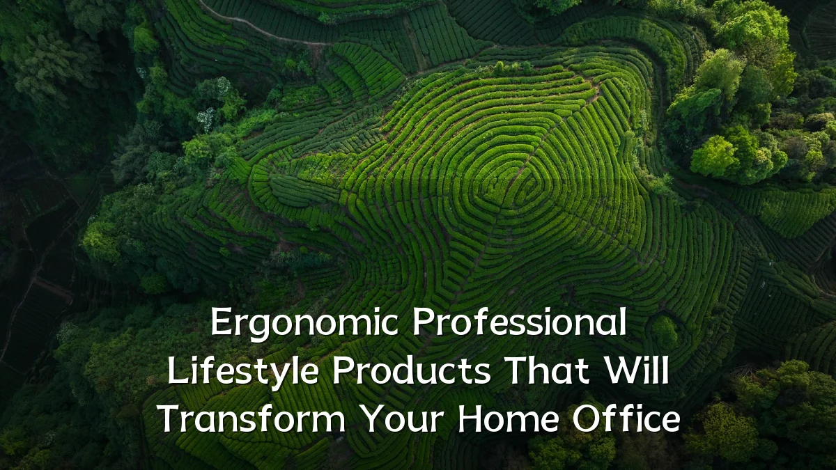 Ergonomic Professional Lifestyle Products That Will Transform Your Home Office