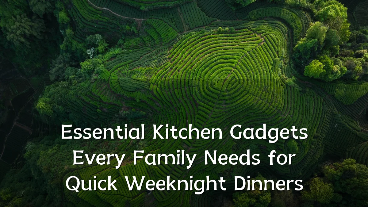 Essential Kitchen Gadgets Every Family Needs for Quick Weeknight Dinners