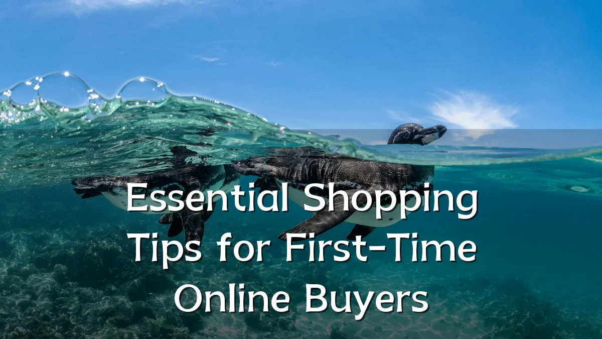 Essential Shopping Tips for First-Time Online Buyers