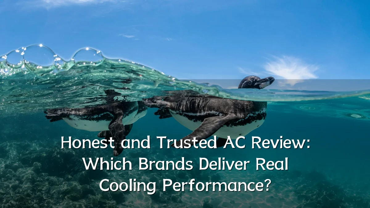 Honest and Trusted AC Review: Which Brands Deliver Real Cooling Performance?