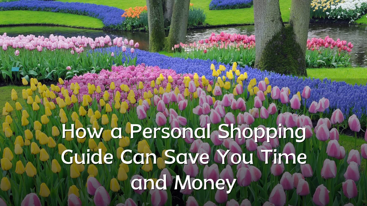 How a Personal Shopping Guide Can Save You Time and Money