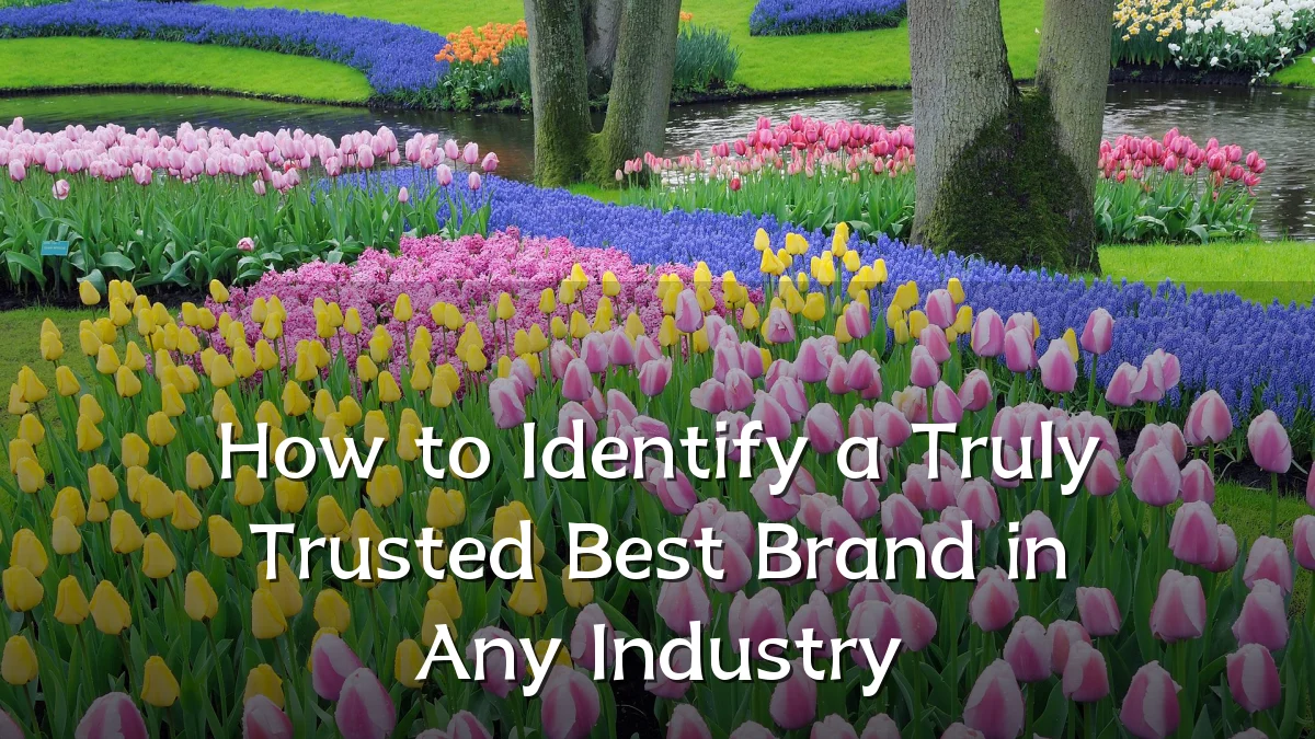 How to Identify a Truly Trusted Best Brand in Any Industry