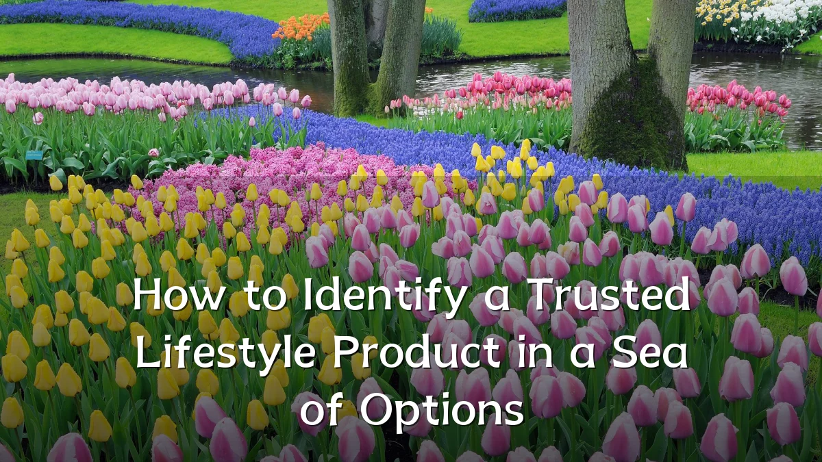 How to Identify a Trusted Lifestyle Product in a Sea of Options