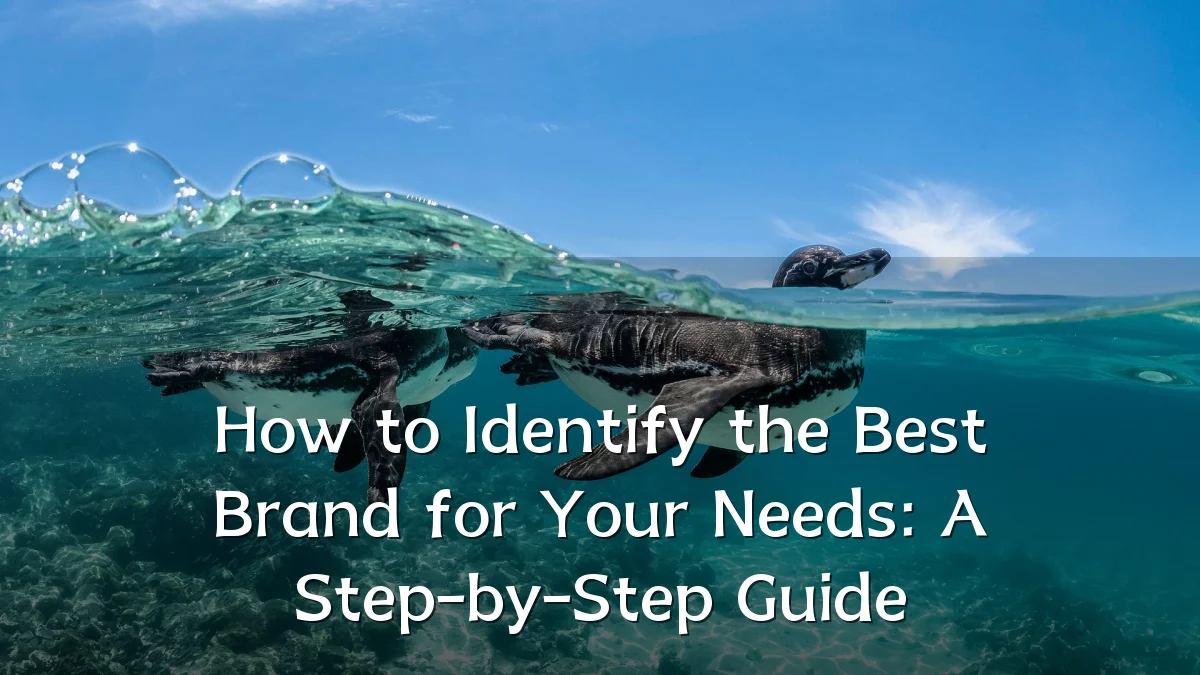How to Identify the Best Brand for Your Needs: A Step-by-Step Guide