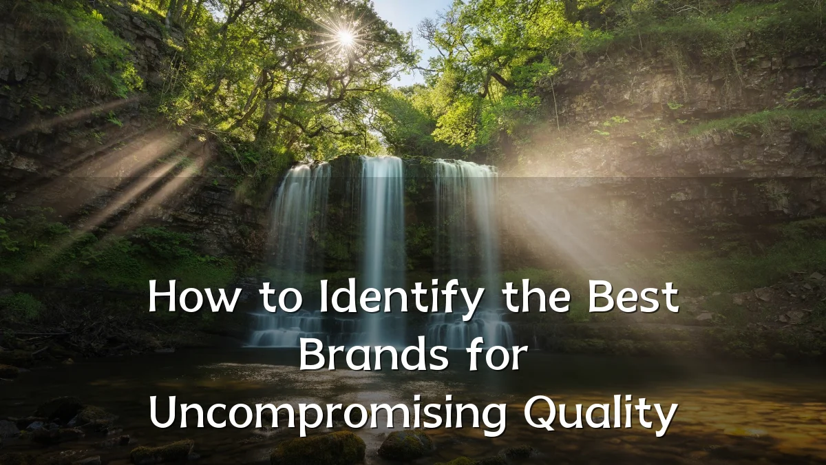 How to Identify the Best Brands for Uncompromising Quality