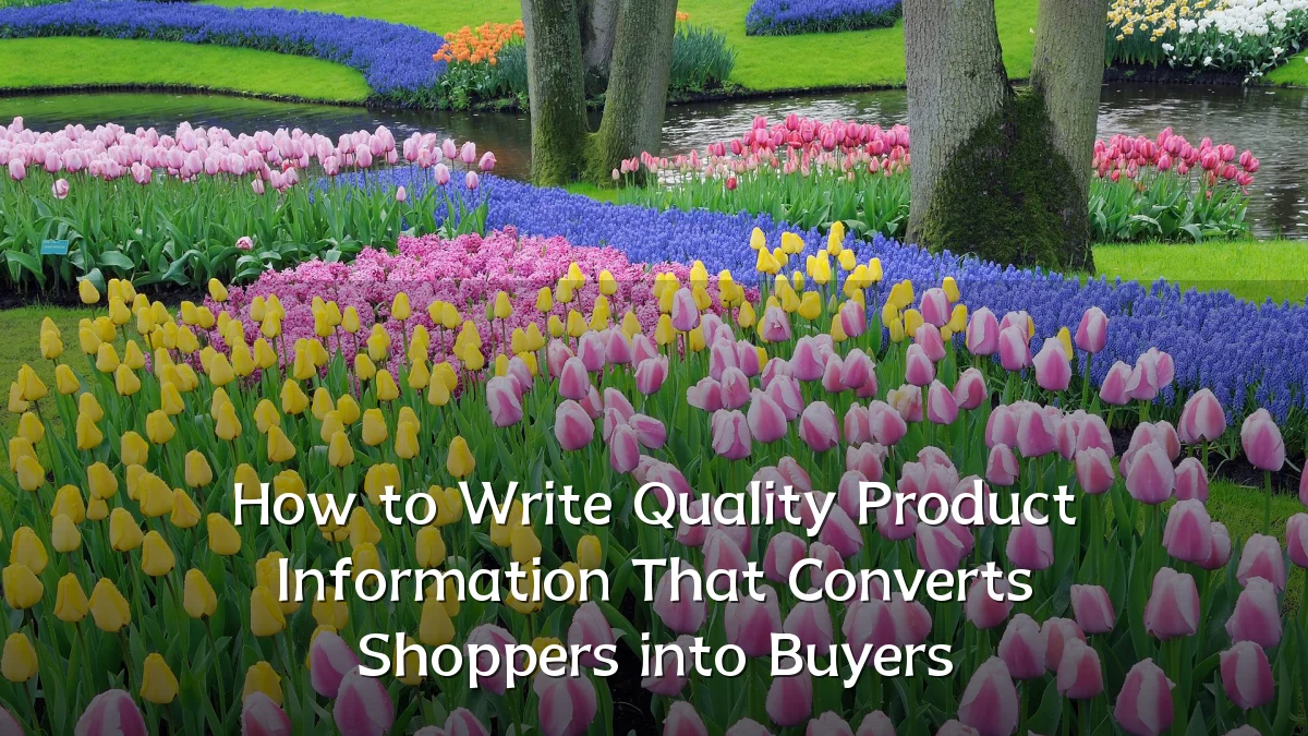 How to Write Quality Product Information That Converts Shoppers into Buyers