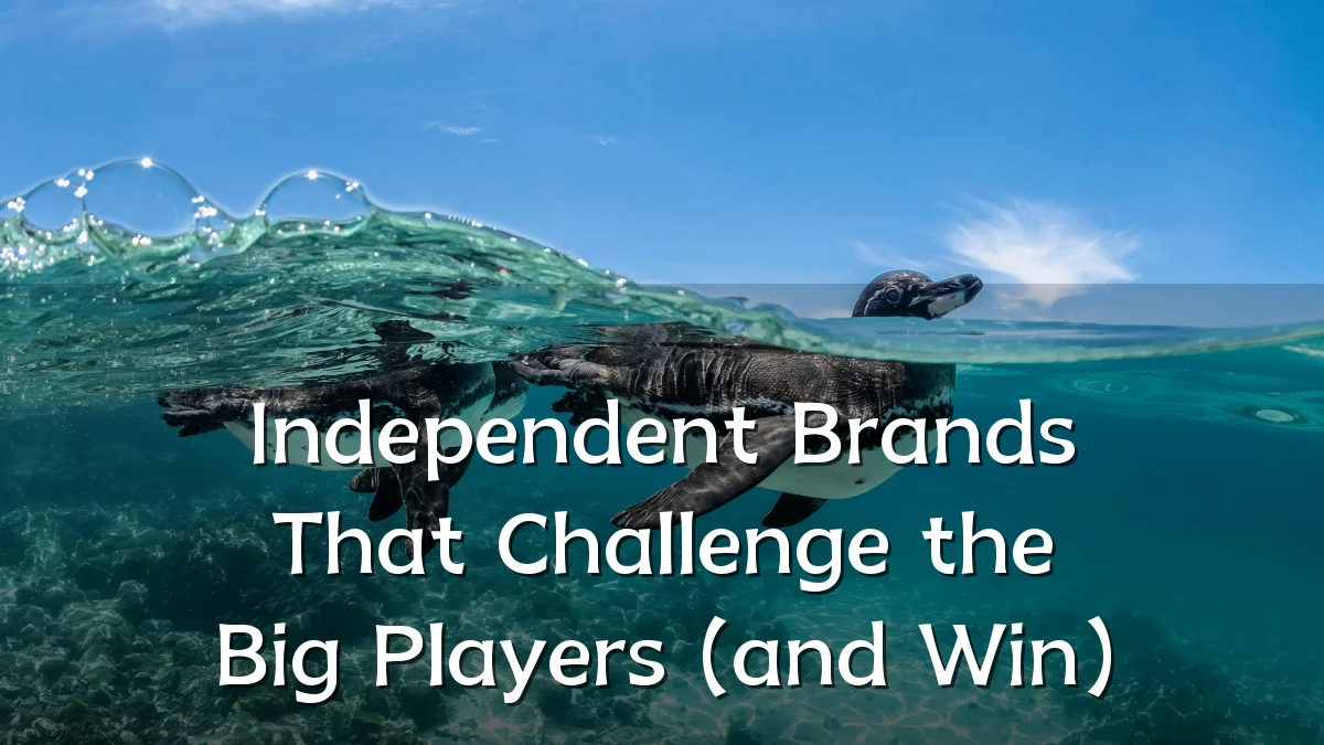 Independent Brands That Challenge the Big Players (and Win)