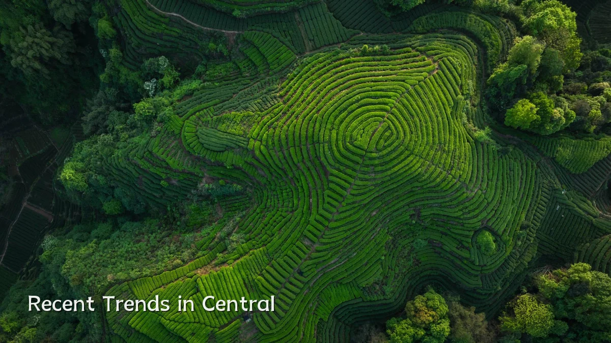 Recent Trends in Central