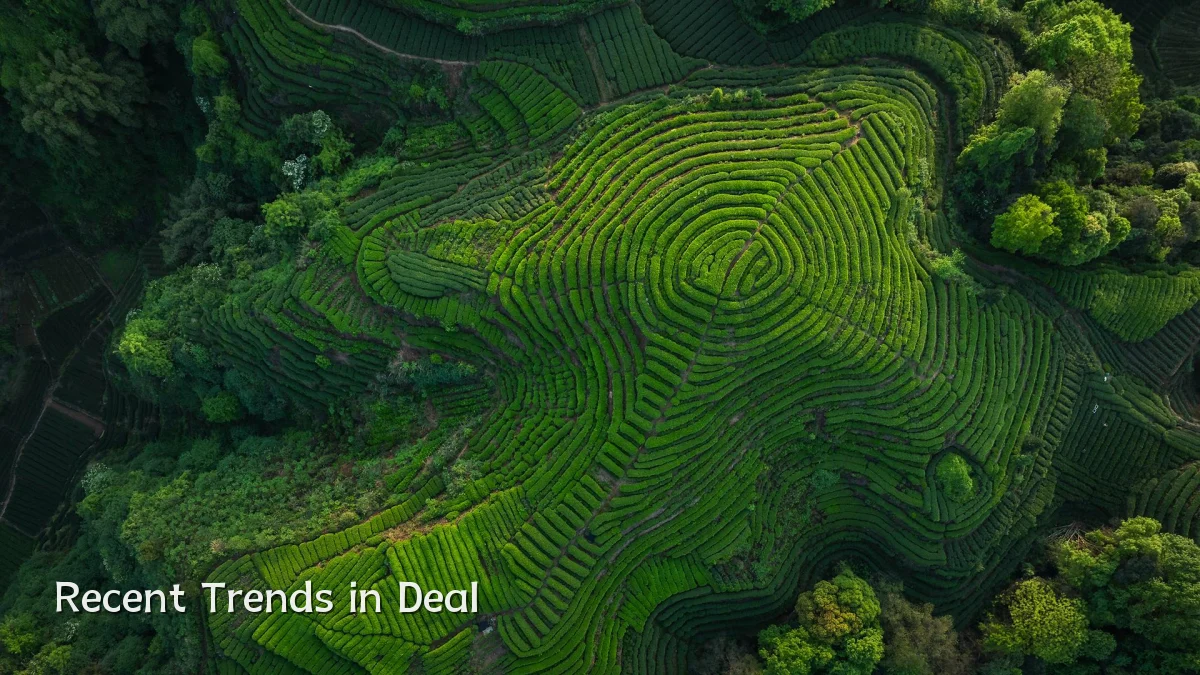 Recent Trends in Deal
