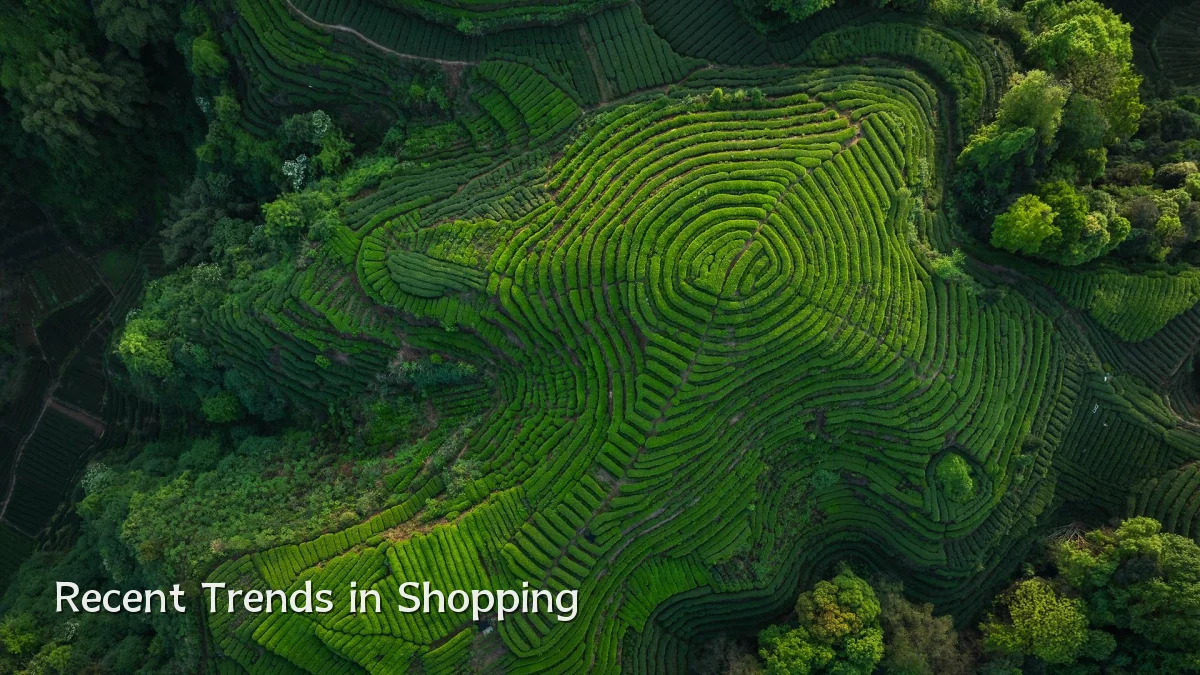 Recent Trends in Shopping