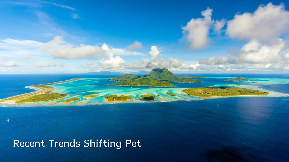 Recent Trends Shifting Pet