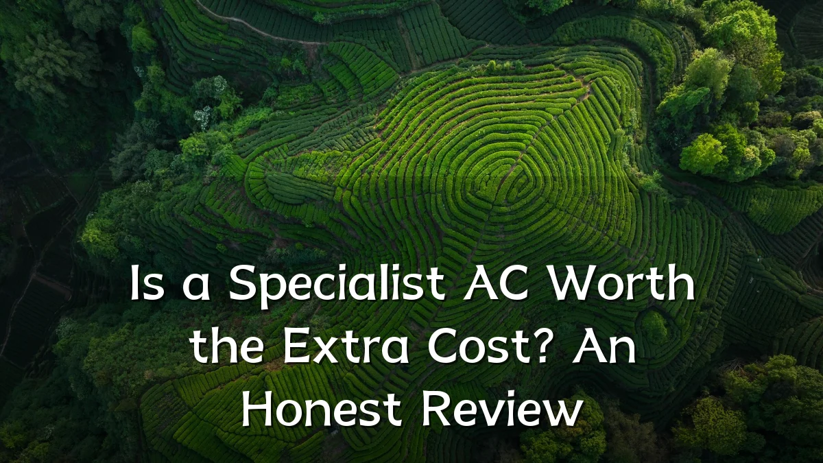Is a Specialist AC Worth the Extra Cost? An Honest Review