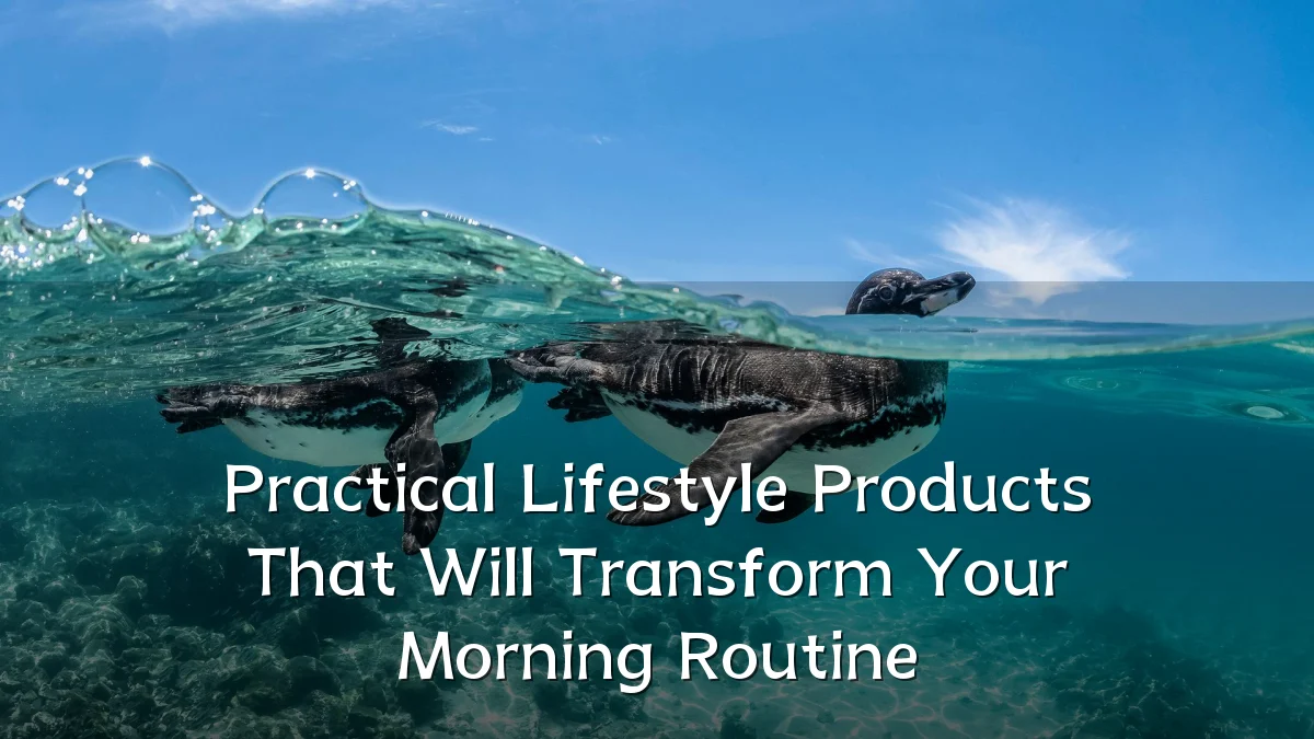 Practical Lifestyle Products That Will Transform Your Morning Routine