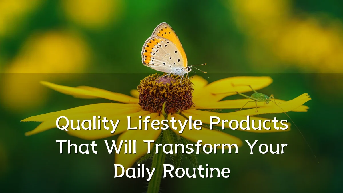 Quality Lifestyle Products That Will Transform Your Daily Routine