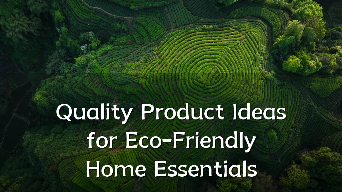 Quality Product Ideas for Eco-Friendly Home Essentials