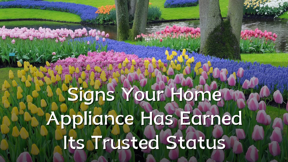 Signs Your Home Appliance Has Earned Its Trusted Status