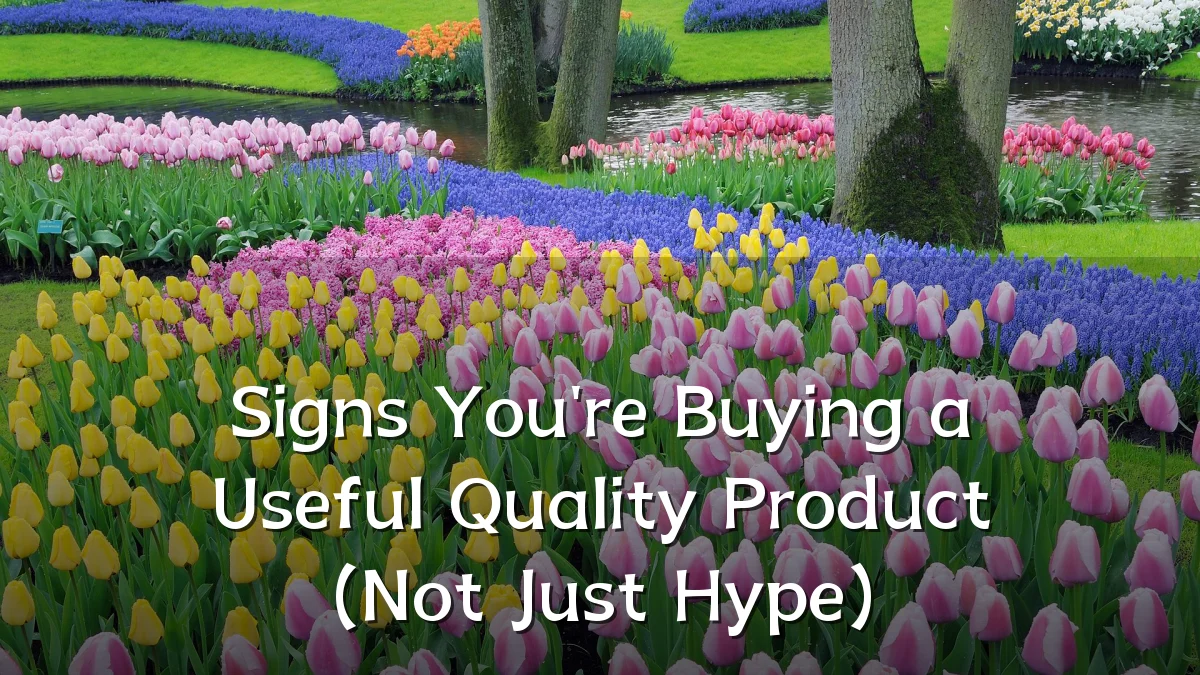 Signs You're Buying a Useful Quality Product (Not Just Hype)