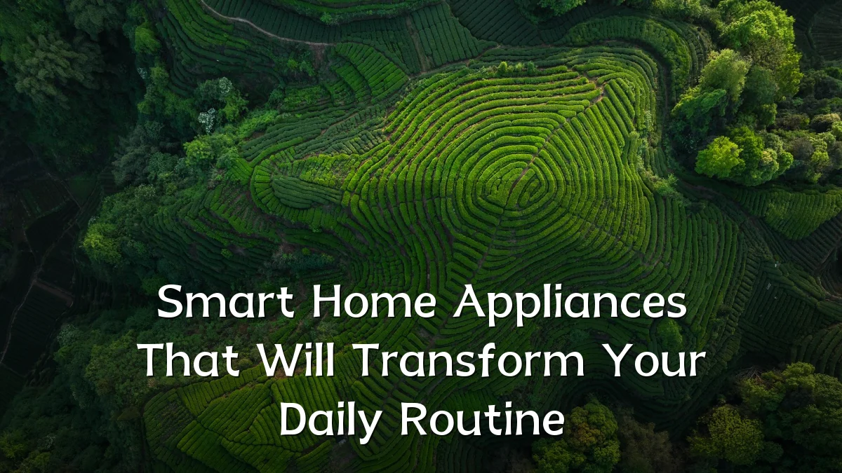 Smart Home Appliances That Will Transform Your Daily Routine
