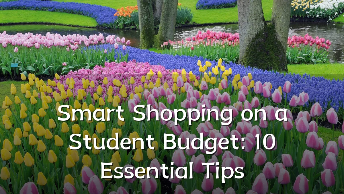Smart Shopping on a Student Budget: 10 Essential Tips