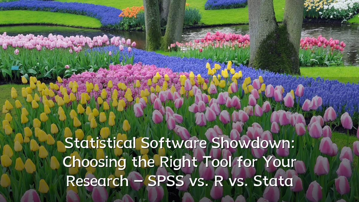 Statistical Software Showdown: Choosing the Right Tool for Your Research – SPSS vs. R vs. Stata
