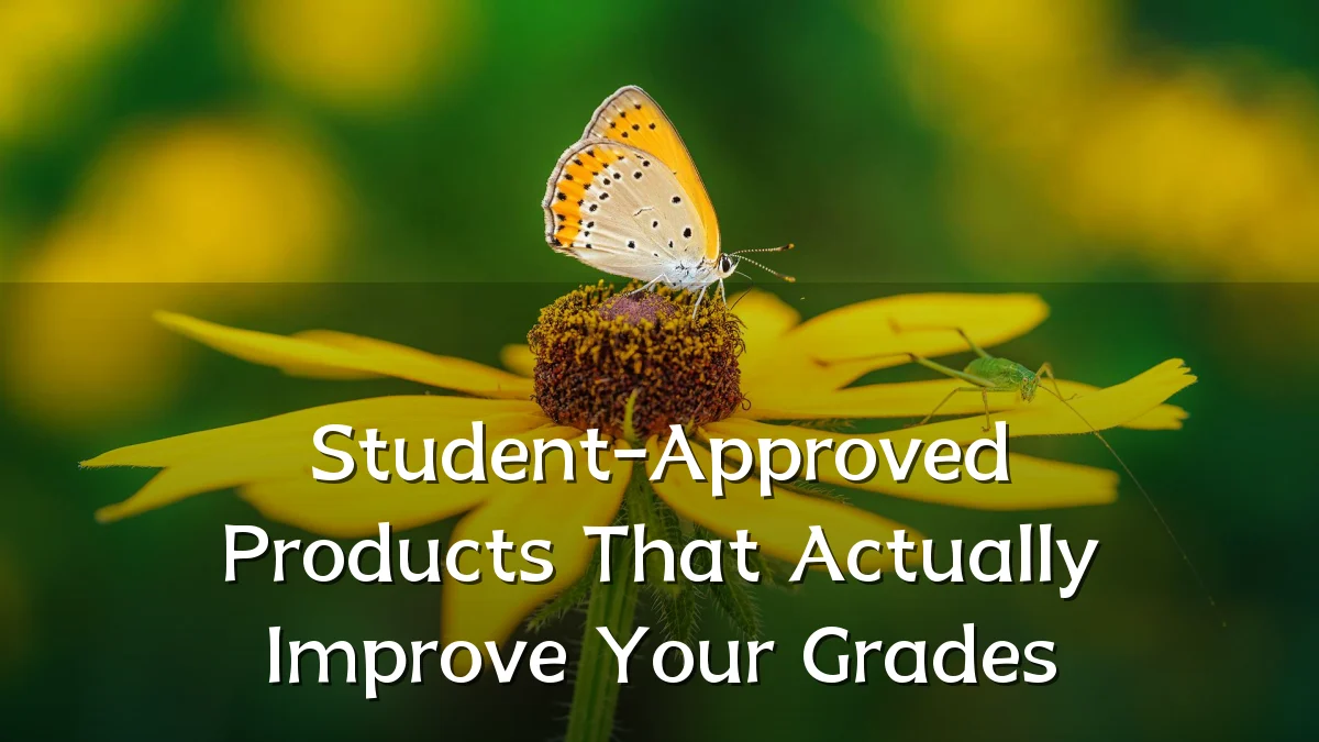 Student-Approved Products That Actually Improve Your Grades