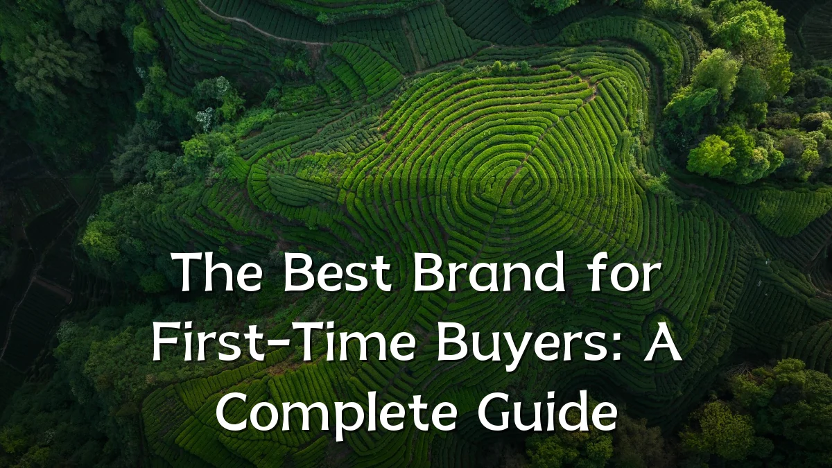 The Best Brand for First-Time Buyers: A Complete Guide