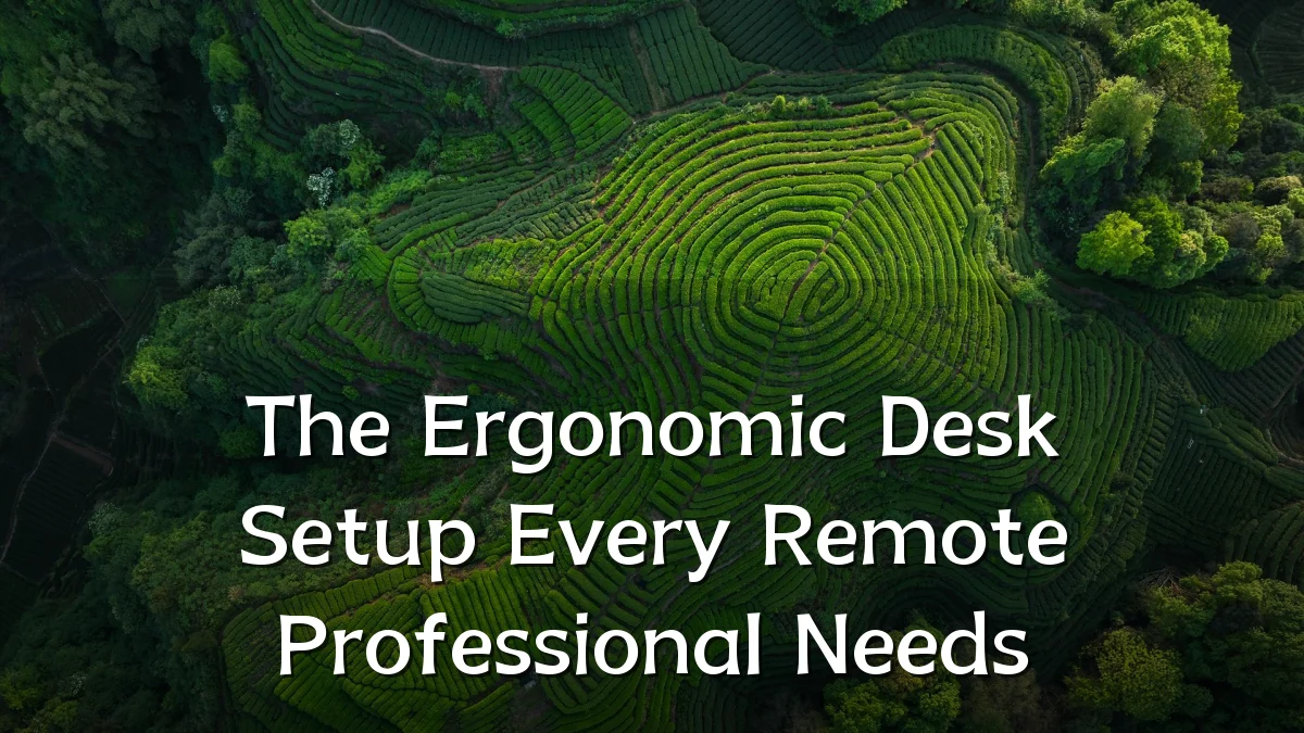 The Ergonomic Desk Setup Every Remote Professional Needs