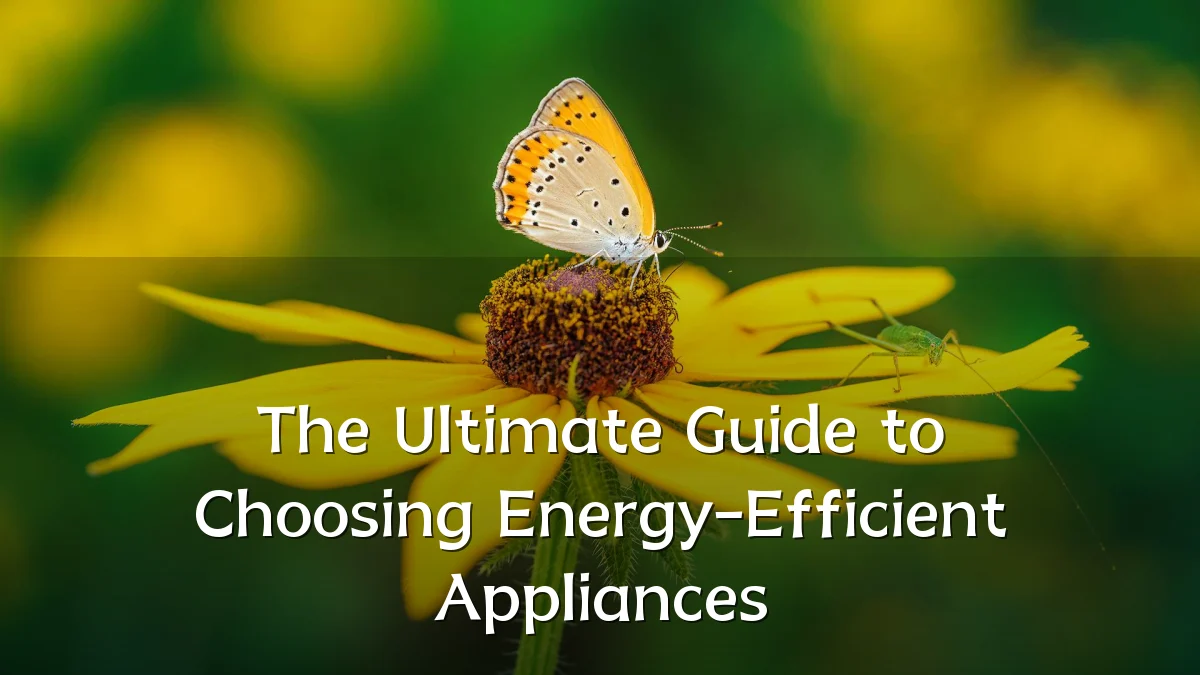 The Ultimate Guide to Choosing Energy-Efficient Appliances