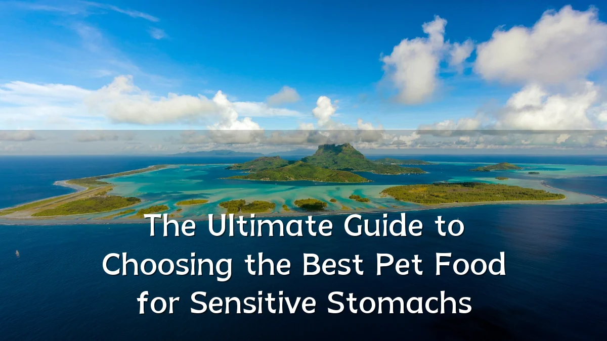 The Ultimate Guide to Choosing the Best Pet Food for Sensitive Stomachs