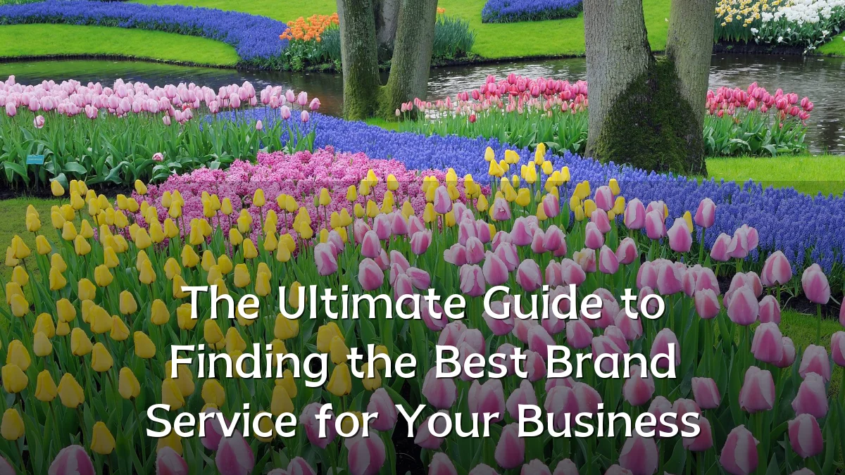 The Ultimate Guide to Finding the Best Brand Service for Your Business