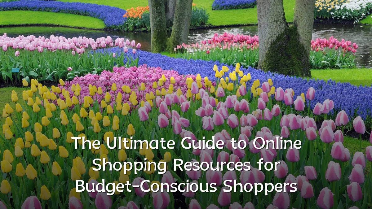 The Ultimate Guide to Online Shopping Resources for Budget-Conscious Shoppers