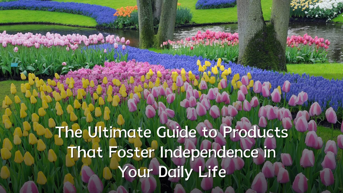 The Ultimate Guide to Products That Foster Independence in Your Daily Life