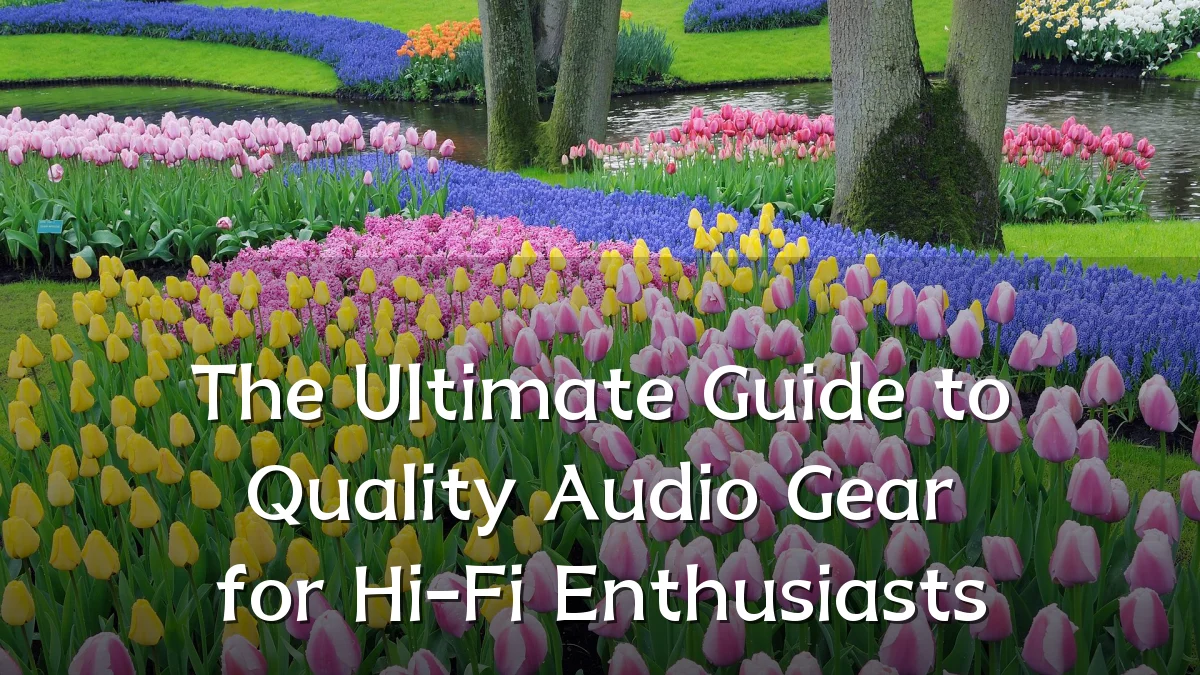 The Ultimate Guide to Quality Audio Gear for Hi-Fi Enthusiasts